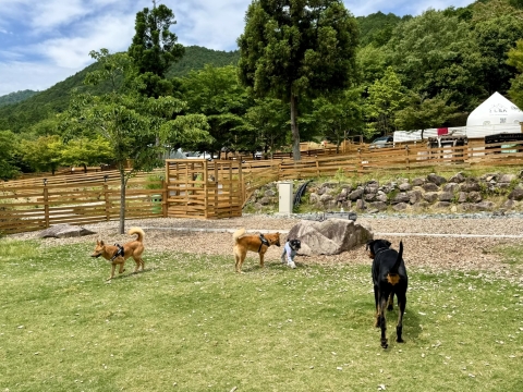 平和 平和