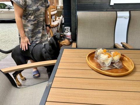 美味しいフルーツを用意していただいた 美味しいフルーツを用意していただいた