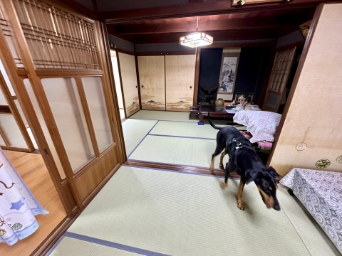 中はとてもきれい 中はとてもきれい