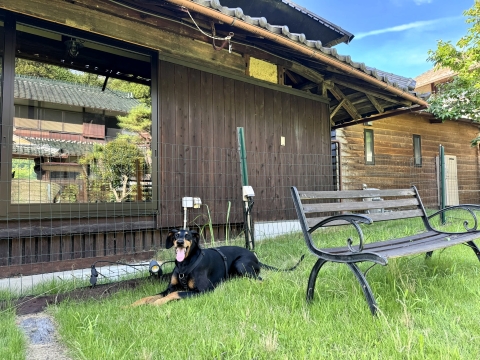 宿のドッグランにて 宿のドッグランにて