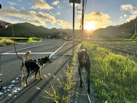 ごまちゃんと並んで ごまちゃんと並んで