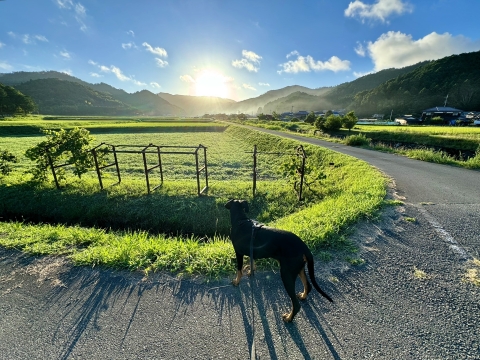山の向こうから昇る太陽 山の向こうから昇る太陽