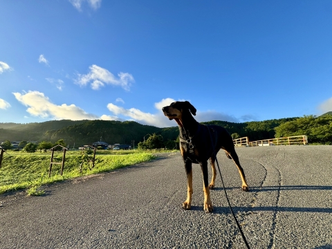 青い空 青い空