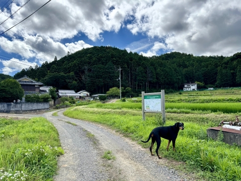 周辺で少し遊ぶ 周辺で少し遊ぶ