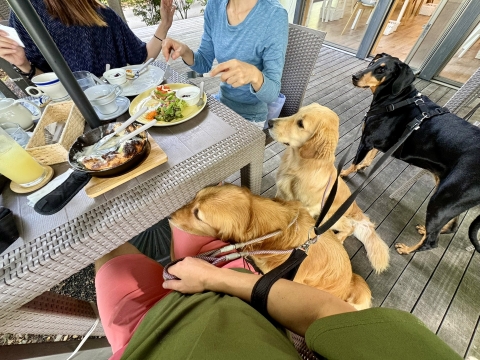 どの皿も美味しい どの皿も美味しい