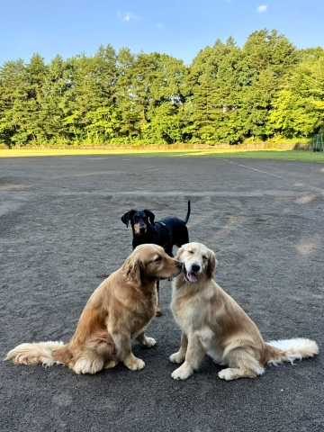 1つ目のグラウンドで3S 1つ目のグラウンドで3S