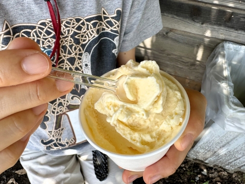 ジェラートを食す ジェラートを食す