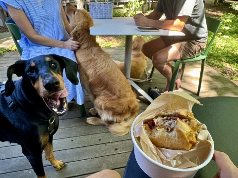 食べかけのグリルドポークバーガー 食べかけのグリルドポークバーガー