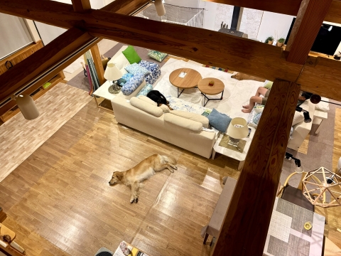 皆お休み 皆お休み