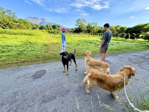 浅間山がきれいに見える 浅間山がきれいに見える