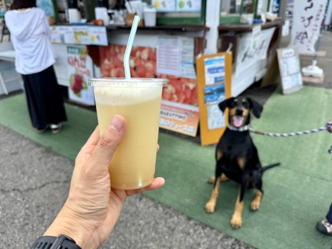 目の前でしぼるりんごジュース 目の前でしぼるりんごジュース