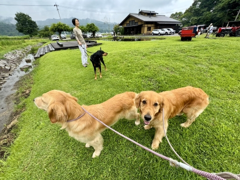 御厨の前は広々 御厨の前は広々