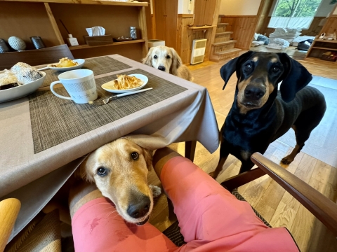 アップルパイを食べる アップルパイを食べる