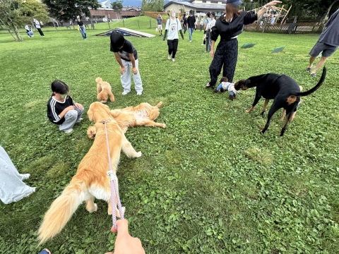 ドッグランで遊ぶ ドッグランで遊ぶ