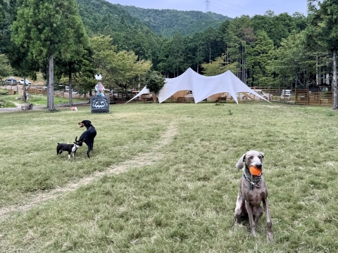 リゼも来ていた リゼも来ていた