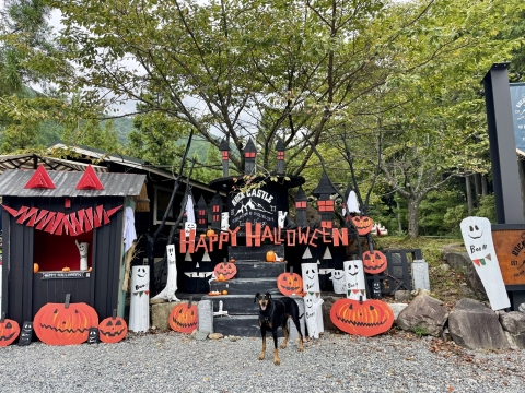 ハロウィンのデコレーションがすごい ハロウィンのデコレーションがすごい