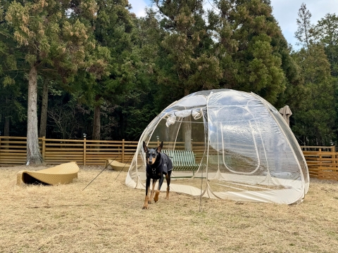 �����h�[�����ݒu����Ă���