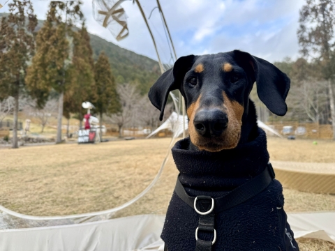 �����܂�