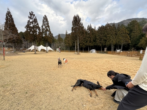 �A�_��&�x���͑���󐅂͓]����