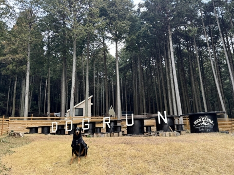 �ݐ؃����ɐN��