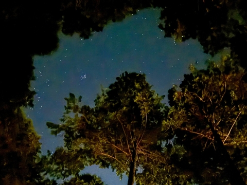 ���X�̊Ԃ���`�������̐�