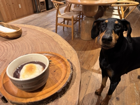 �f�U�[�g�͂��񂴂�