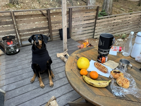 �l�Ԃ̒����͂�