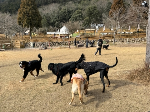 ���̓��͑�^������