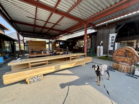 EG�T�C�N���̈ꑰ���c�ޖ؋Ղ֏��Q��