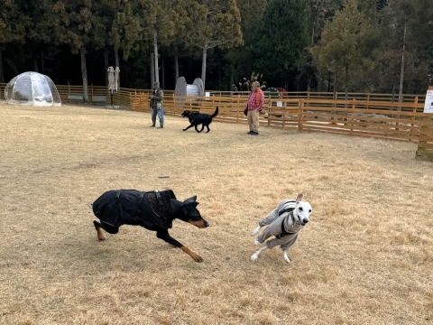 �L�g������