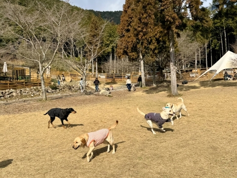 ����Ƀ��b�N���������