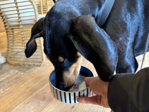 ���M�~���N�����y���ɂȂ���