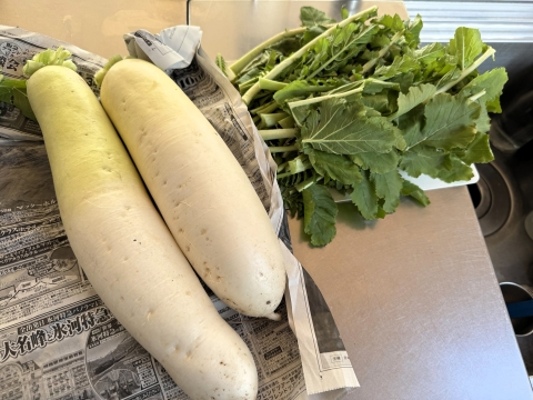 �A����̏��t�@�~���[�ɒ������t�t���̗��h�ȑ卪������