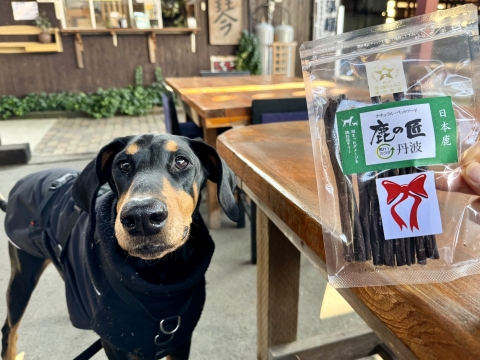 �a�����v���[���g�𒸂���