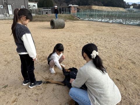 �q��������������