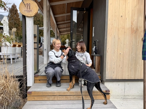 �J�t�F�̃X�^�b�t�����o�}��