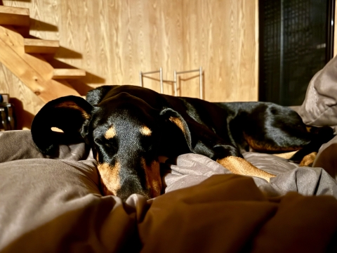 �󐅂͖��̒��c