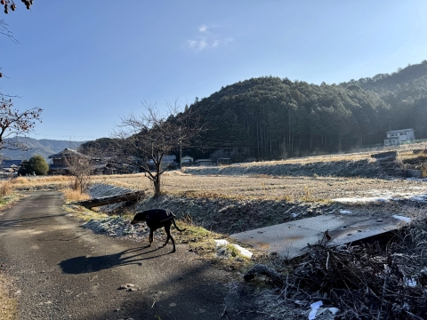 �Ō�ɂԂ�Ԃ�