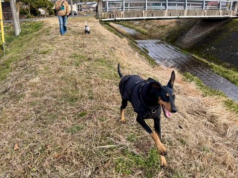 �O�䏯�쉈���𑖂�