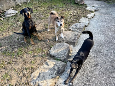 いろりもブルーもリラックス いろりもブルーもリラックス