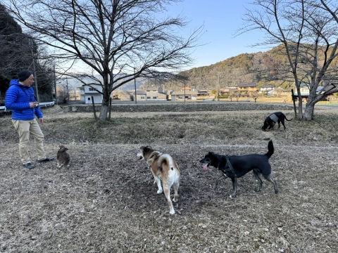 チャコも遊んでるか? チャコも遊んでるか?