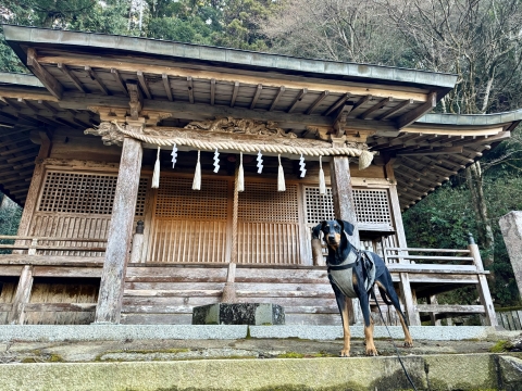 宿の隣にある神社前で 宿の隣にある神社前で