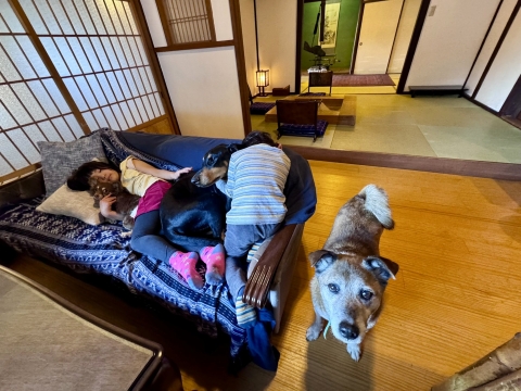 夕方のごろごろ 夕方のごろごろ