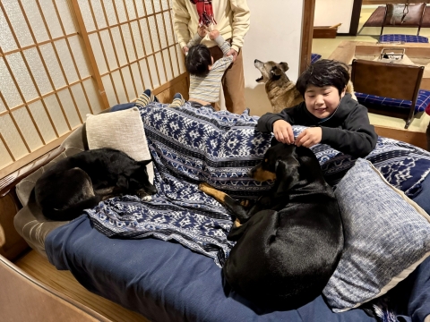 食後のまったり 食後のまったり