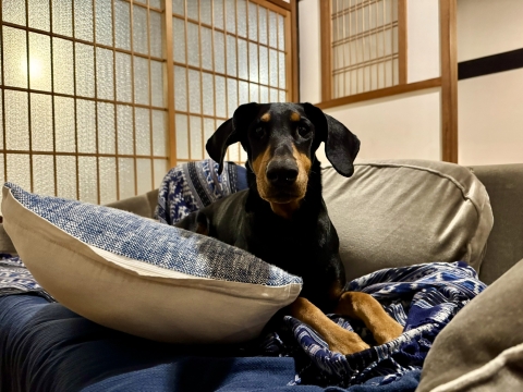 そろそろ寝よか そろそろ寝よか