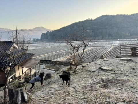 快晴の朝 快晴の朝