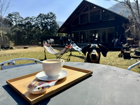 庭でコーヒータイム 庭でコーヒータイム