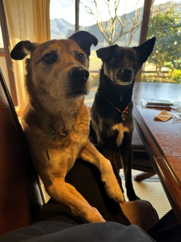 2人とも積極的 2人とも積極的