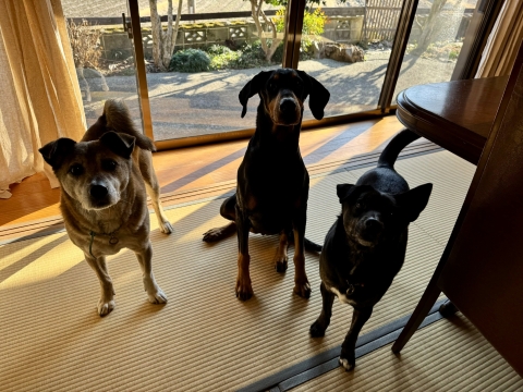 3Sもある 3Sもある