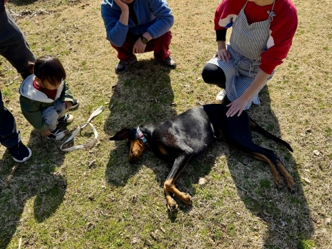 田んぼのおじさんもやってきた 田んぼのおじさんもやってきた